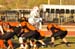 azflW03crupred020114057