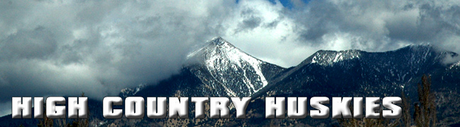 San Francisco Peaks - Flagstaff Arizona