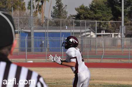 azfl11_012911w3a766