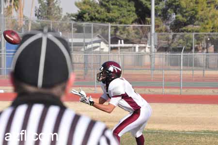 azfl11_012911w3a767