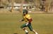 azfl111007FlagPre075