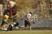 azfl111007FlagPre152